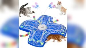 Qraxond Interactive Cat Toys Review: Best Rechargeable Kitten Toy