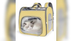 Top Review: Airline Approved Cat Soft-Sided Carrier Backpack (Yellow)
