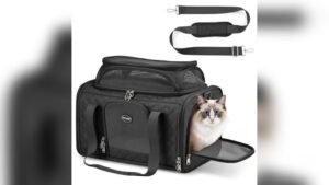 CarryTip Cat Carrier Review: Best Airline Approved Soft Carrier