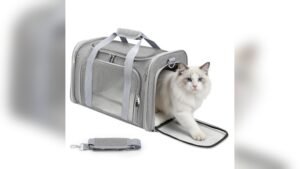 Zedkeys Cat Carrier Soft Review: Comfy, Airline Approved Pet Bag